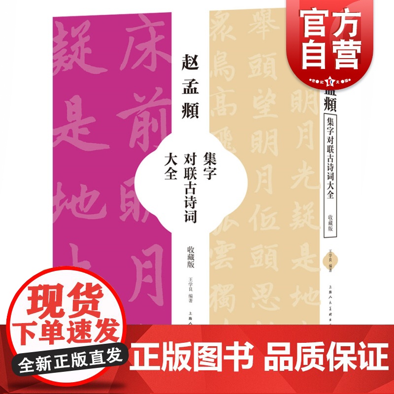 赵孟頫集字对联古诗词大全 王学良艺术书法篆刻创作类字帖集字大全 上海人民美术出版社高清大图