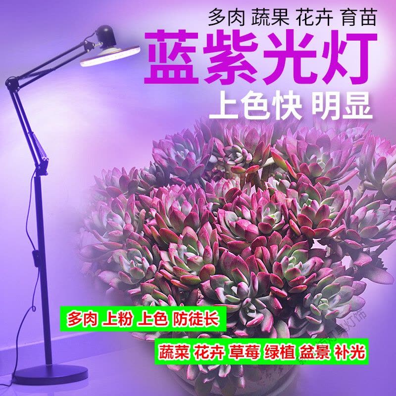 苏宁放心购 多肉植物紫外线生长灯室内日照防徒上色花卉全光谱led多肉补光灯图片