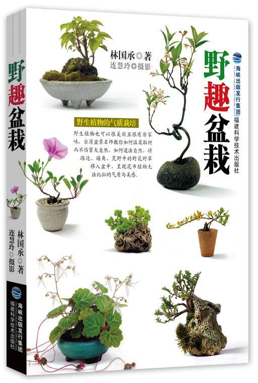 [醉染正版]野趣盆栽 台湾 林国承 栽培 养护 取材 繁殖 观赏 种草养花 园艺 草本植物 蕨类植物 爬藤植物 木本高清大图