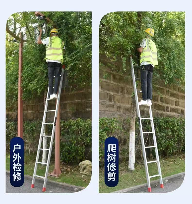 晨以橙 3米 一字直梯 个高清大图