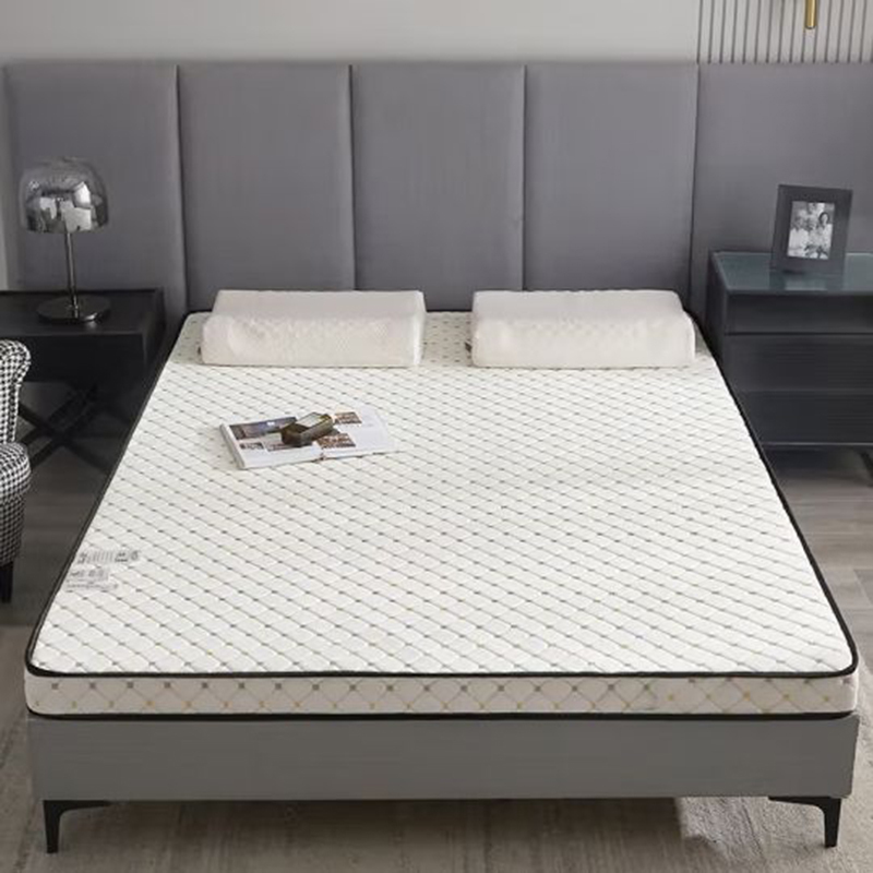 伊伊爱 CD0BN02200441 90*200*6cm 针织乳胶刺绣记忆海绵床垫 (单位:个)
