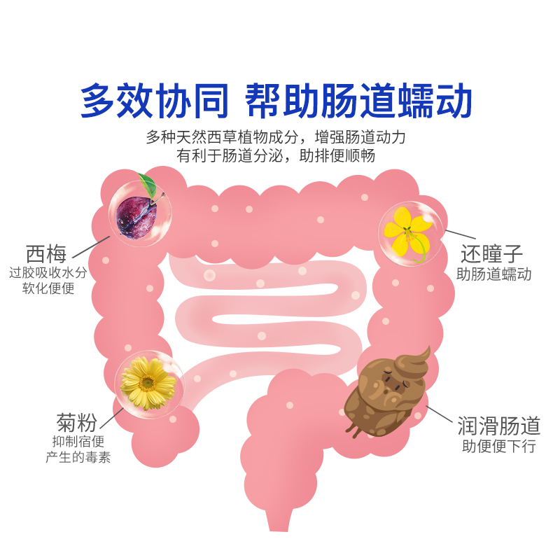 效期至21年10月1日 Nutrition Care清肠片 润肠通便 助肠道蠕动轻松排便 60片/瓶 膳食营养补充剂