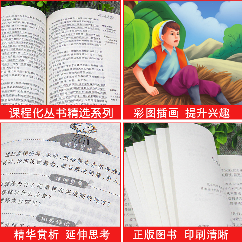 地球的故事 [正版]骑鹅旅行记 六年级 尼尔斯骑鹅旅行记原著完整版小学生初中生版课外阅读书籍经典儿童文学名著故事书精读
