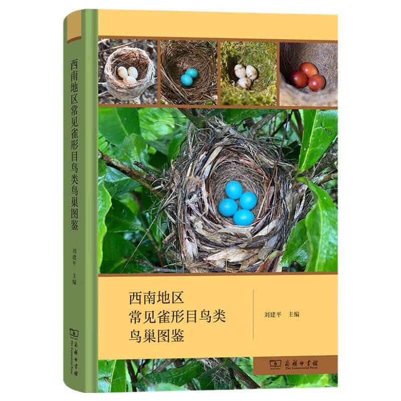 西南地区常见雀形目鸟类鸟巢图鉴 自然观察的实用指南图片