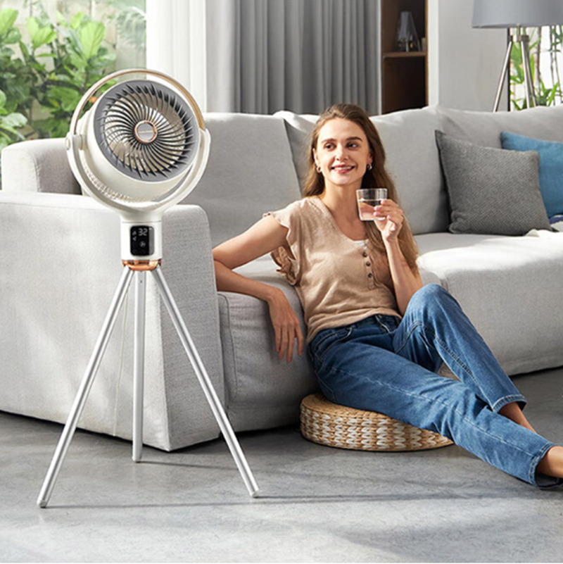 摩飞 电风扇负离子空气循环扇 MR3801高清大图