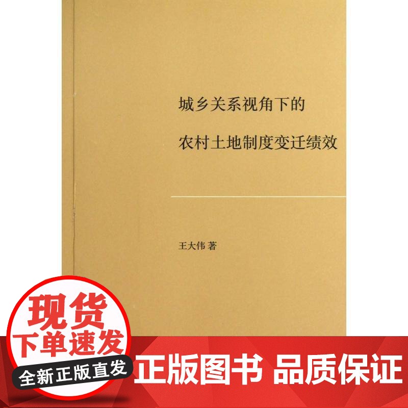 城乡关系视角下的农村土地制度变迁绩效王大伟 农村土地制度研究中国经济书籍高清大图