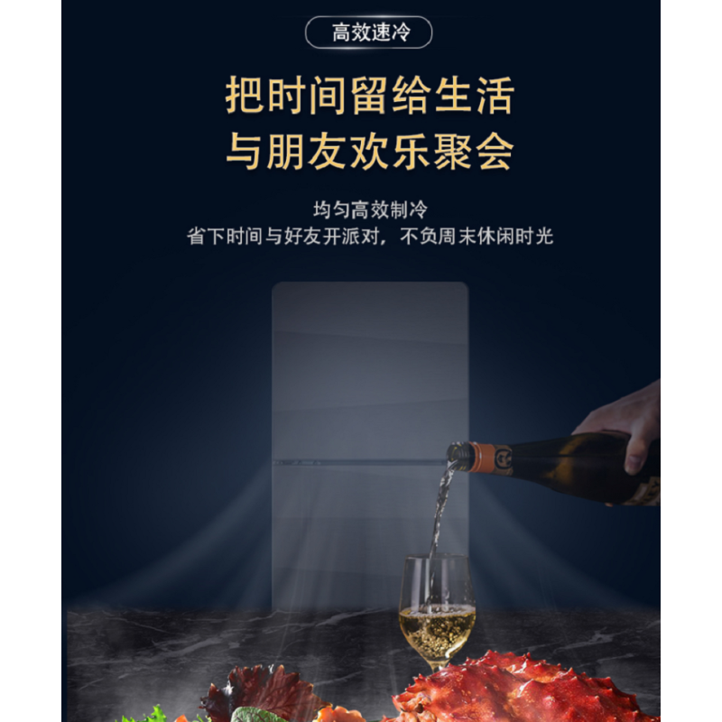 新飞飞鸿XFFH小冰箱85升家用小型租房用太空灰玻璃双开门冰箱BCD85-158(太空灰 只有灰色的)