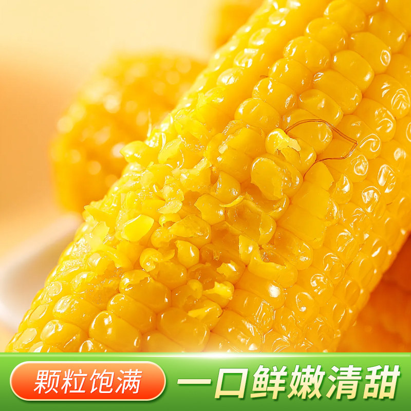 [西沛生鲜]东北糯玉米 10根 单根300-380g高清大图