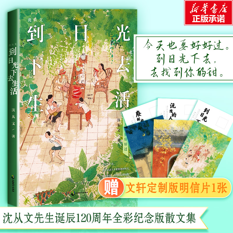 醉染图书沈从文 到日光下去生活9787514517521高清大图