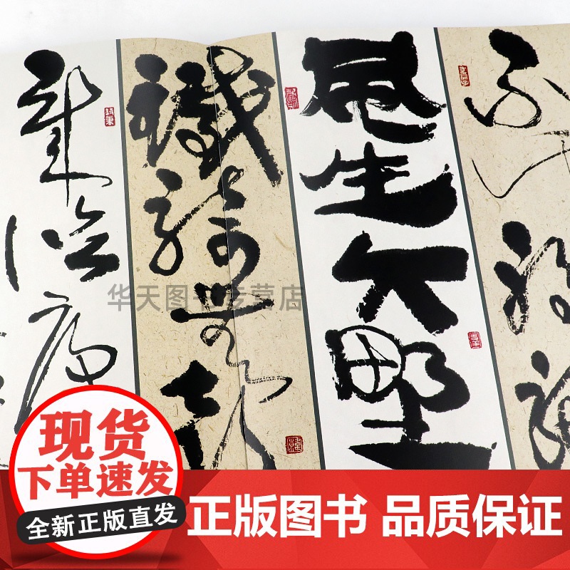 [正版]韩美林艺术大系 书法卷二韩美林人民美术出版社9787102082646高清大图