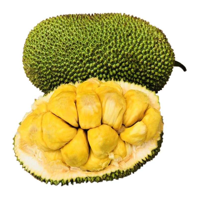 越南珍珠榴莲蜜新鲜尖蜜拉巴掌多肉榴莲蜜26斤热带水果香甜软湿苞果