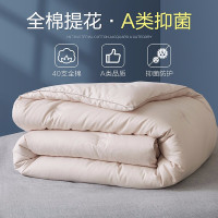 博洋家纺 全棉春秋被子被芯纯棉小提花四季通用棉被冬被加厚保暖双人