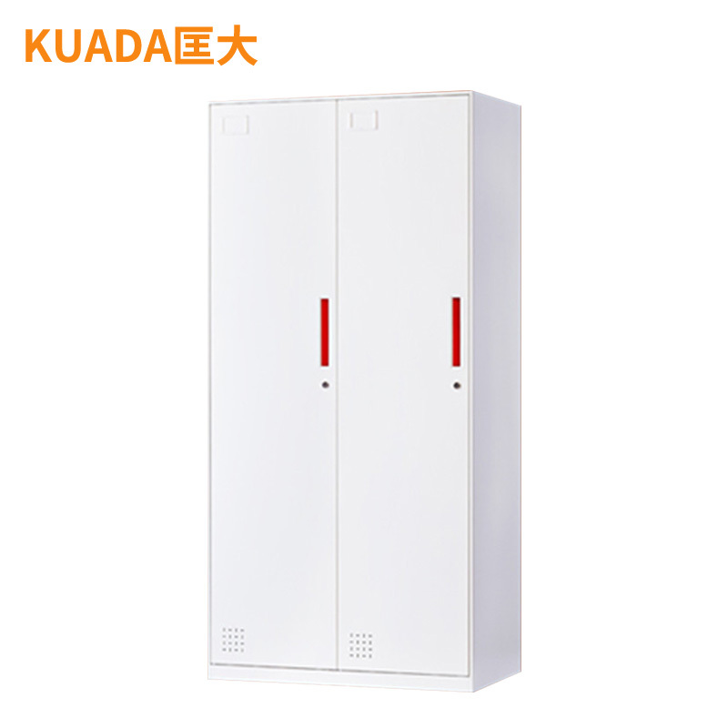 匡大 办公柜0.9米钢制铁皮储物柜2门更衣柜KD-G1009