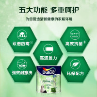 多乐士(Dulux)致悦竹炭抗甲醛净味五合一内墙乳胶漆 油漆涂料 环保墙面漆除醛抗菌 双倍防霉墙漆 A8146 1L