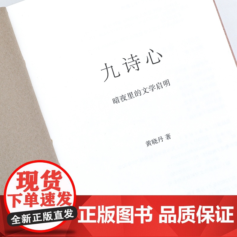 九诗心:暗夜里的文学启明高清大图