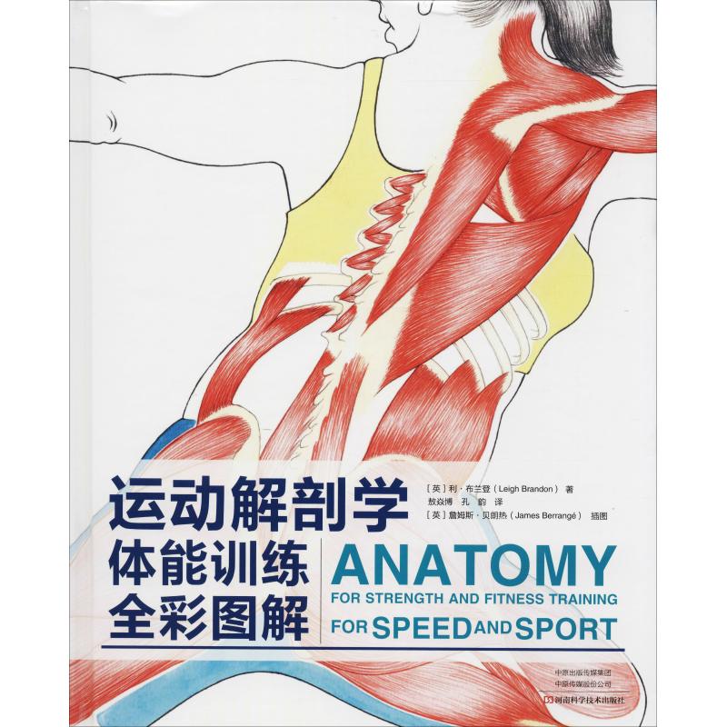 运动解剖学 体能训练全彩图解 (英)利·布兰登(Leigh Brandon) 著 敖焱博,孔韵 译 生活 文轩网
