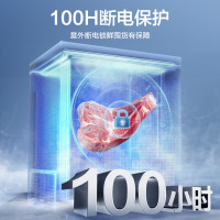 [ZB]容声冷柜BD/BC-145ZMSMB