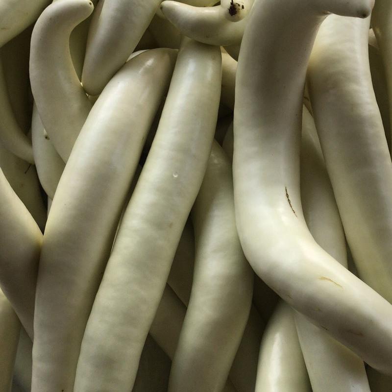 湛航 潮州特产现摘新鲜象牙白茄子白雪公主白茄子蔬菜3斤