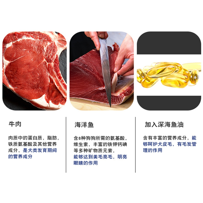 蓝氏狗粮牛肉金枪鱼9磅金毛萨摩耶成幼犬中大型犬通用型美毛