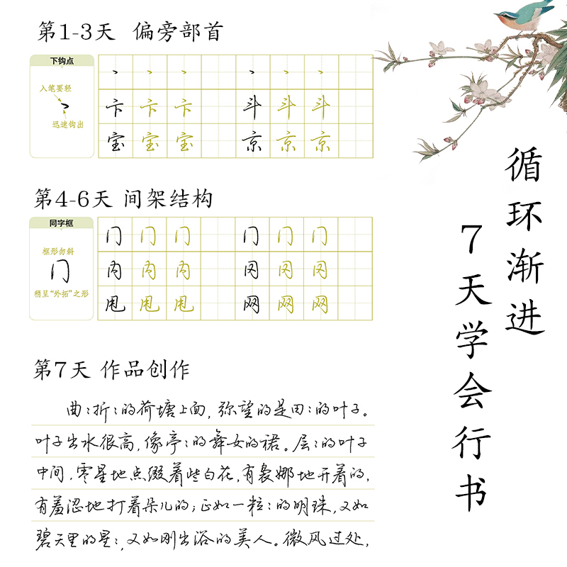 [正版]字帖:钢笔硬笔书法字帖 成人速成练字帖7天学会行书