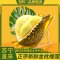 冠町 泰国金枕头榴莲 巴掌榴莲4-5斤共两个装新鲜水果生鲜带壳整果