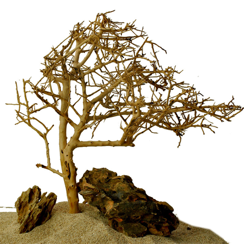 泰国沉木树枝沉木树形流木水缸莫丝树鱼缸造景树根杜鹃根