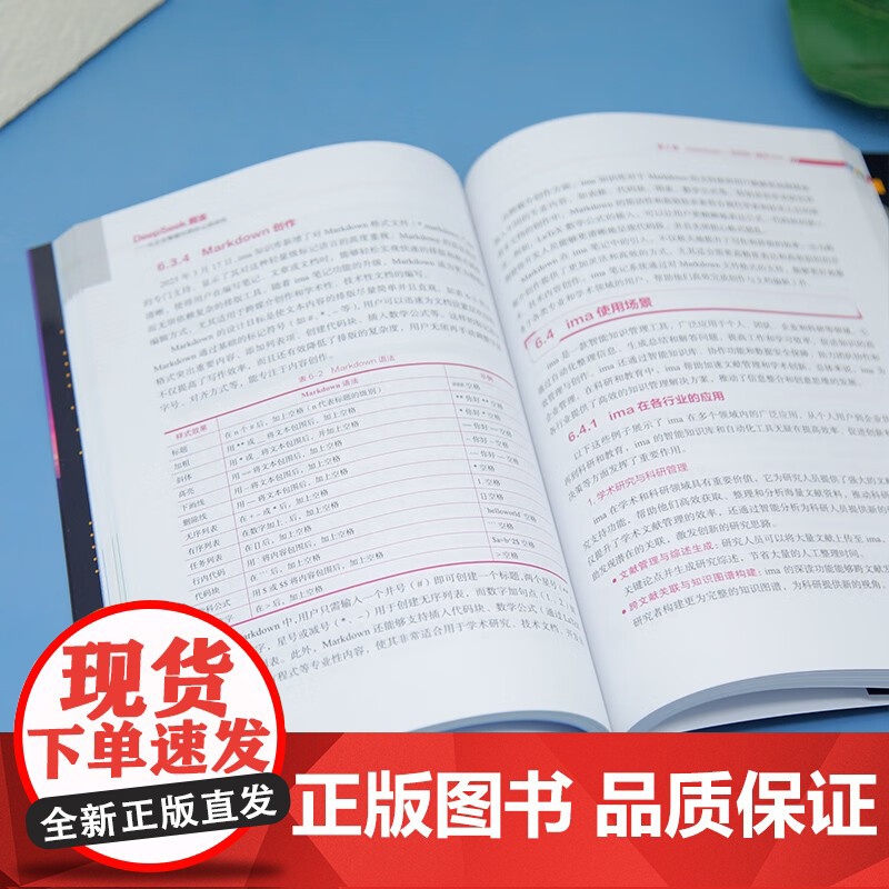 DeepSeek掘金 从企业智能化到办公自动化 潘淳 著 计算机与互联网高清大图