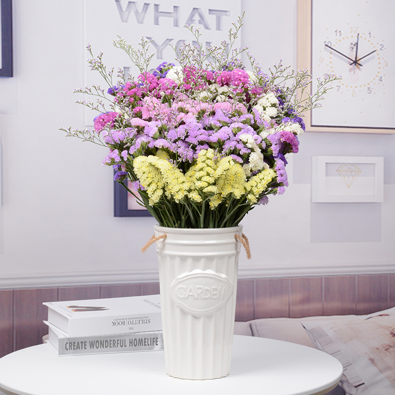 Ciaa花瓶 花艺云南勿忘我鲜花ciaa真花满天星花束客厅摆设花干花花束家居装饰摆件六色勿忘我 情人草长款2斤不含花瓶 价格图片品牌报价 苏宁易购会心家装建材专营店