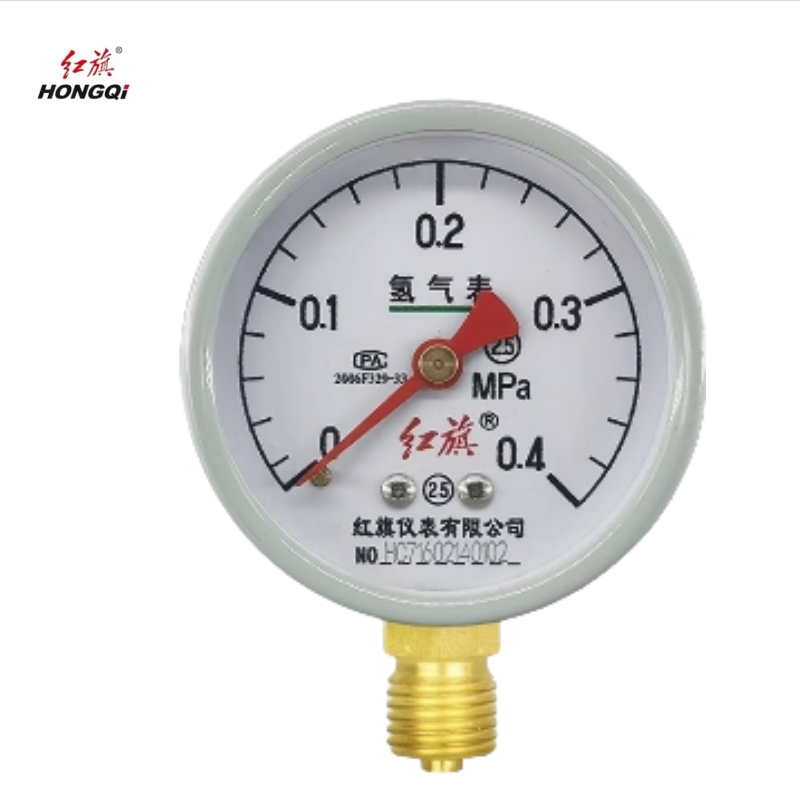 红旗 氢气压力表定制检测款Y60(压力值需备注) 块