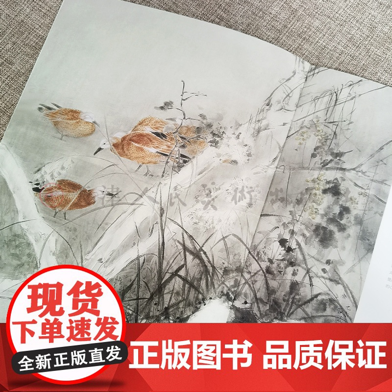 郑雅风 当代水墨画唯美新视界 /水墨花鸟画精品集/白描底稿画谱勾勒技法解析/国画花鸟水墨画临摹画册毛笔绘画入门基础教程高清大图