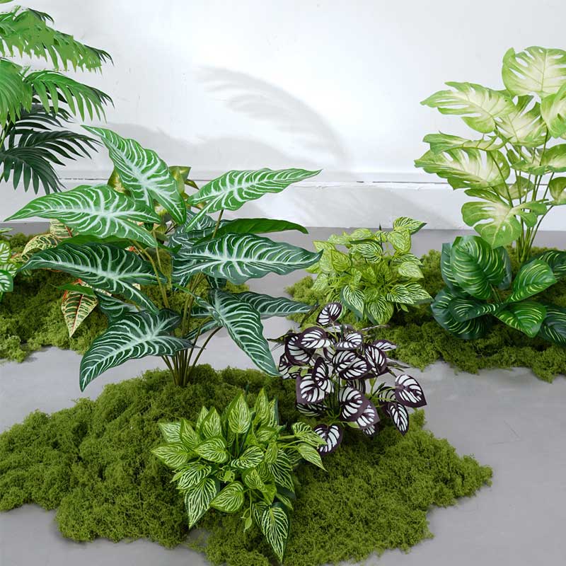 环孤 仿真绿植装饰植物 长60x宽40x高70cm BY60-4高清大图