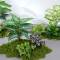 环孤 仿真绿植装饰植物 长60x宽40x高70cm BY60-4
