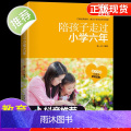 陪孩子走过小学六年级 家庭教育书籍 陪孩子走过小学六年3-6年正版 陪小孩陪你一起孩子的书籍正面管教养育女孩男孩育儿樊