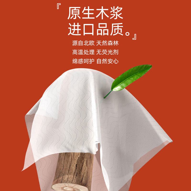 植护悦色橙 有芯卷纸100mm*120mm/5层 125g 16卷/件 ZH2643N16图片