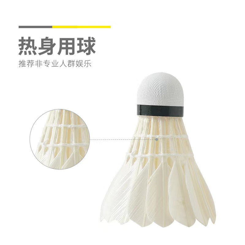 晨光(M&G)体育娱乐级羽毛球(3只装)AST09309高清大图
