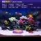 鱼缸仿真珊瑚造景 水族箱海水装饰贝壳珊瑚礁水景套餐组合