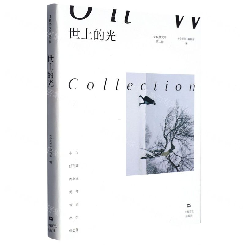 [N]世上的光/小说界文库-9787532185429高清大图