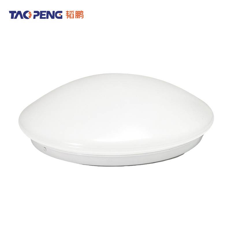 韬鹏 吸顶灯 TP260 12W 白光 个高清大图