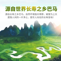 十琅 广西巴马山茶油一级茶油物理新鲜压榨茶籽油茶树油食用油250ml