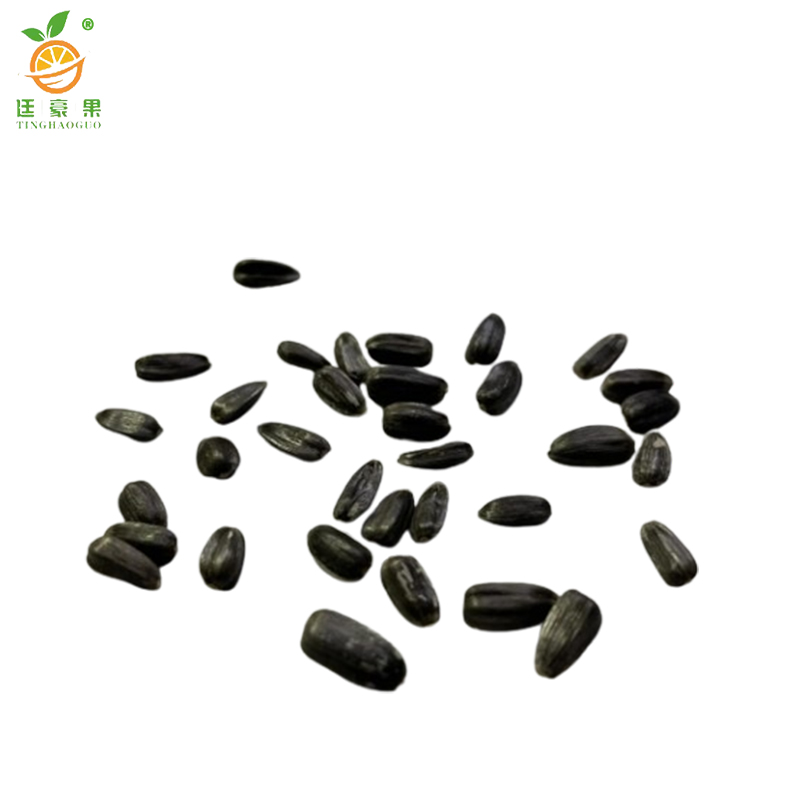 廷豪果 矮杆向日葵种子 净籽 /千克