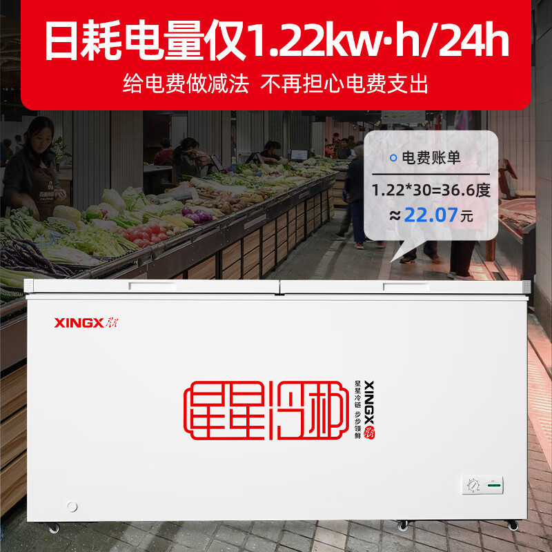 星星(XINGX) 500升 商用大容积卧式单温冰柜 冷藏冷冻转换冷柜 单箱变温冰箱 BD/BC-500R