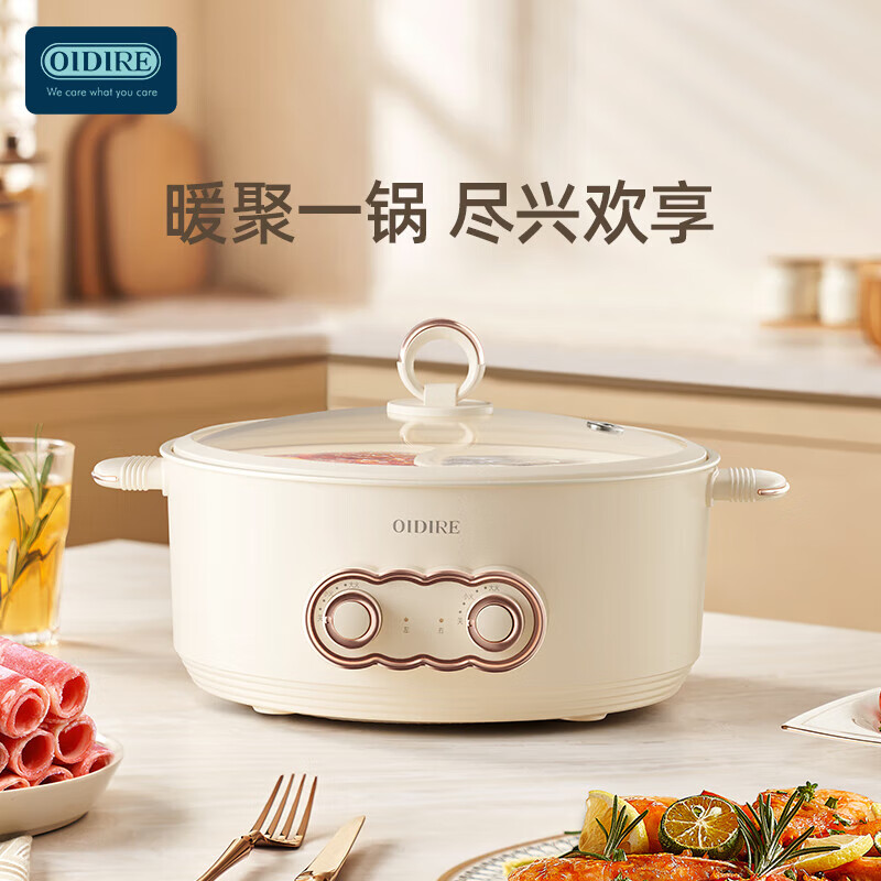 OIDIRE电煮锅 电炖锅电火锅多功能锅 ODI-DHG19 6L高清大图