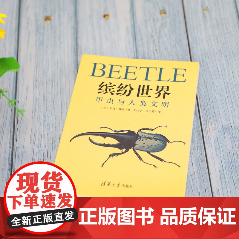缤纷世界:甲虫与人类文明 人类故事 清华大学出版社 正版书籍高清大图