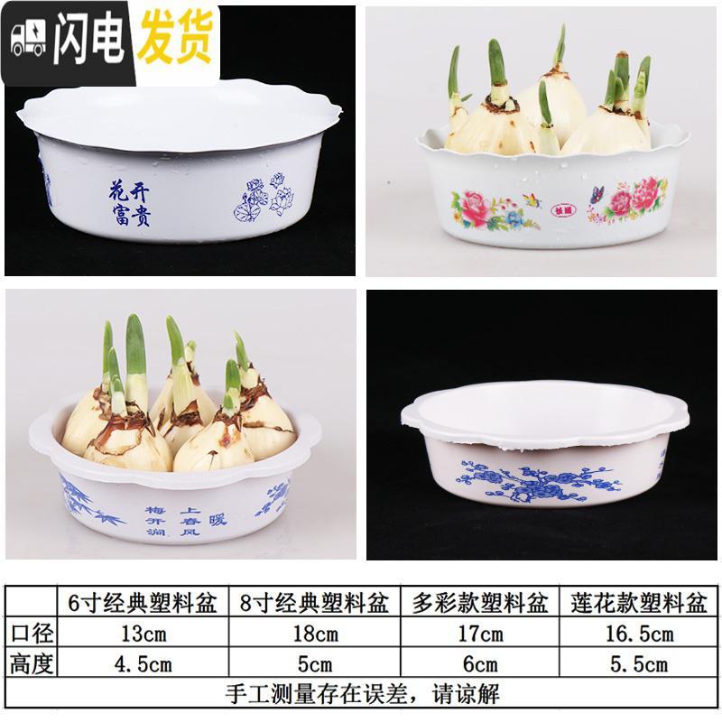 三维工匠水仙水培花盆塑料盆简约方便实惠碗莲盆睡莲盆銅錢古典花边无孔 多彩款:8寸,口径17cm20个 中等花盆容器高清大图