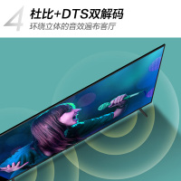 TCL 55V6 55英寸 免遥控AI声控超薄全面屏智屏 液晶平板电视