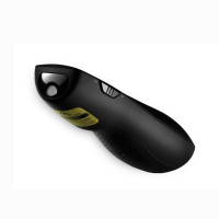 罗技（Logitech）R800 无线翻页笔PPT翻页器绿光电子教鞭培训激光笔演示器 黑色