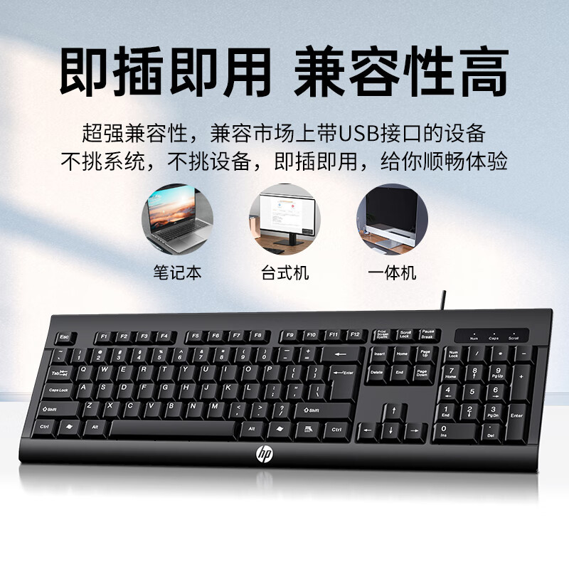 惠普(HP)有线键盘鼠标套装 KM100 键盘+鼠标 单位:套