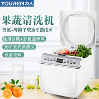 友人(youren) 洗菜机 X60 果蔬清洗机 去农残 水果蔬菜 活氧等离子杀菌 家用全自动 微电脑式控制 9L