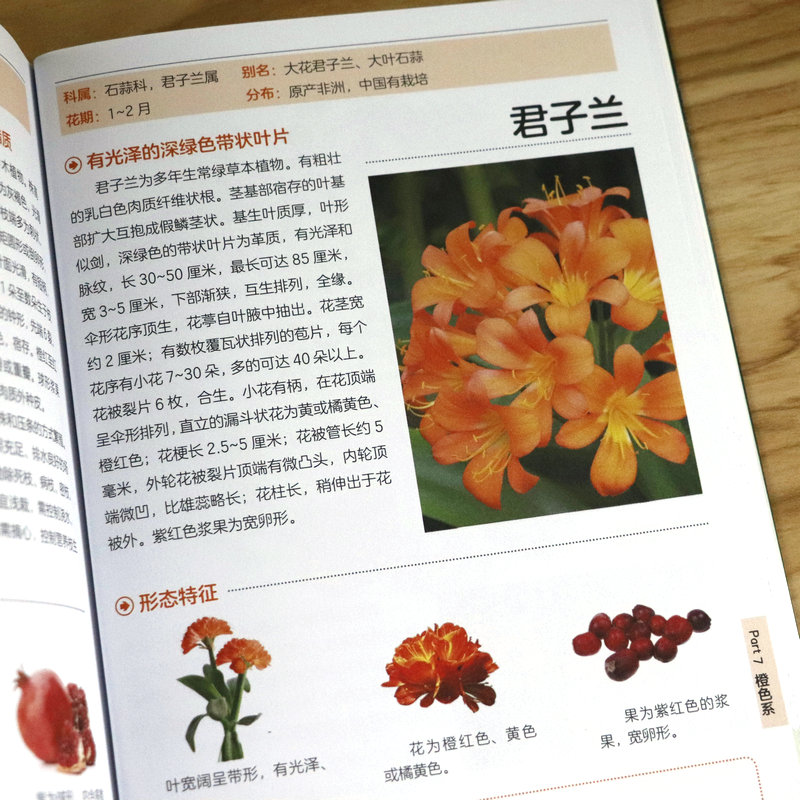 [正版]2册 209种常见花草图鉴+新手入门轻松辨识常见树木图鉴 家庭种花养花鉴赏速查图鉴认识常见花草植物花卉书籍高清大图