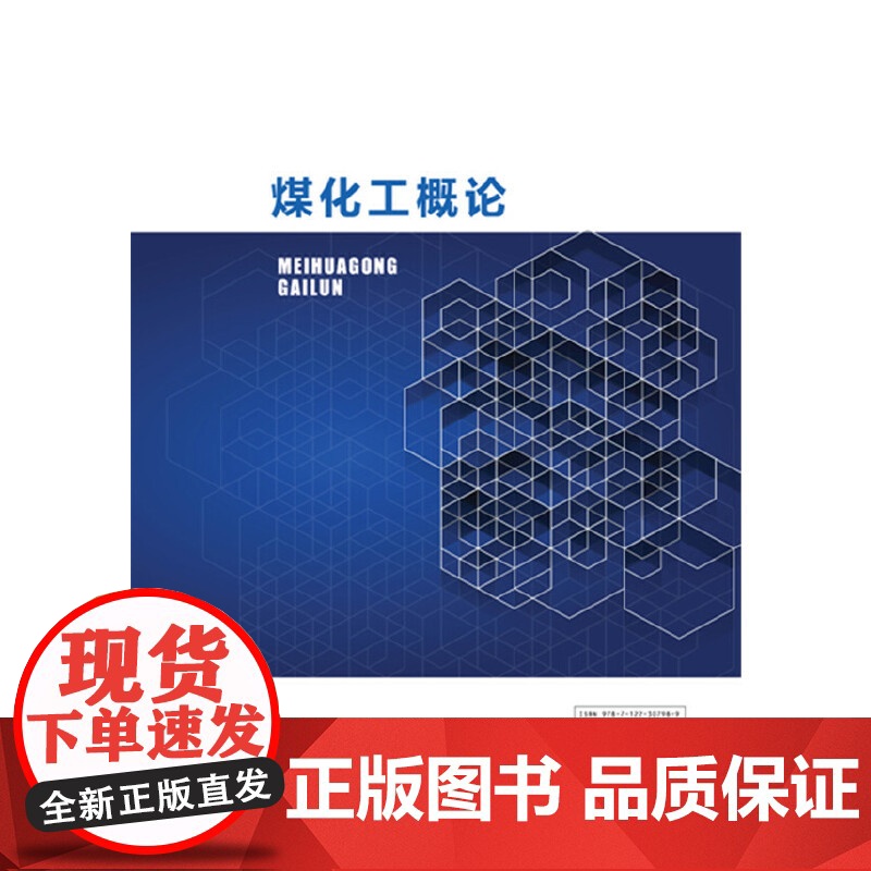 煤化工概论(李建法) 李建法 化学工业出版社 正版书籍高清大图